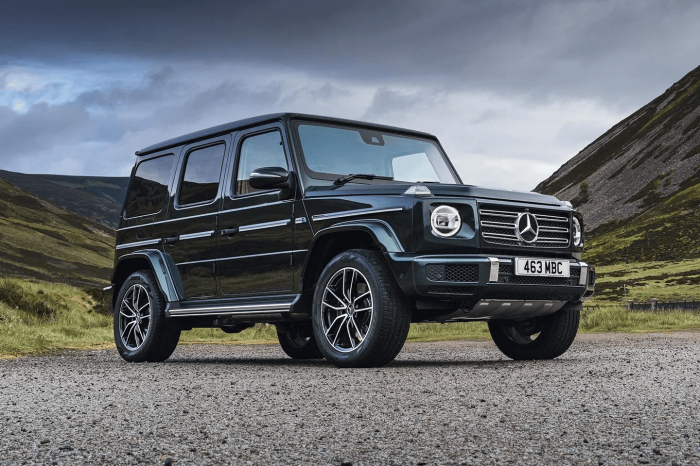 Mercedes Clase G de segunda mano. Qué versión elegir 2 Mercedes-Benz G 400 d verde parado en montaña, tres cuartos frontal, parrilla de tres láminas horizontales