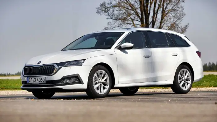 Los 12 mejores coches familiares de segunda mano para 2026 5 Skoda Octavia Combi blanco parado en el arcén junto a un campo, con un árbol seco detrás